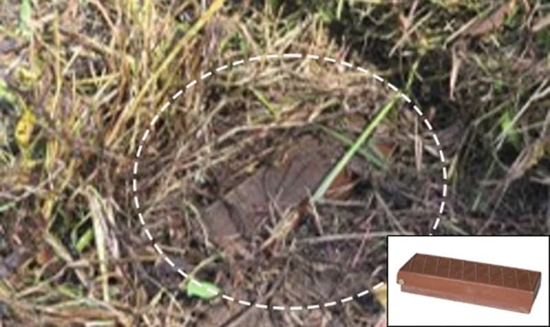 서부전선 DMZ 지뢰 폭발 북한 소행 최종 결론… 정부, 대응 수위 놓고 고심