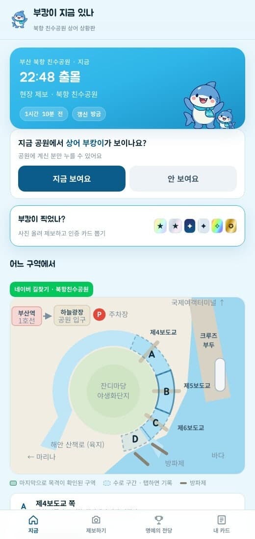 부캉이 지금 있나… 국립부경대생, AI 활용 상어 목격 실시간 공유 서비스 개발