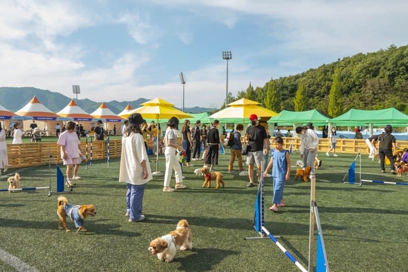 춘천 반려동물 페스티벌 9일 개막…3일간 전국 축제로 도약