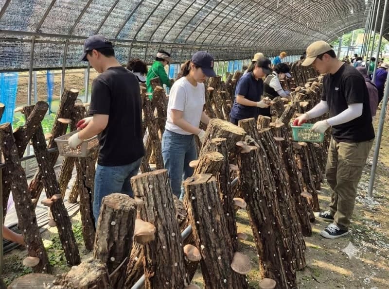 인제군 '숲슐랭가이드' 체류형 농촌관광, 외지인 유입과 소득 창출 성과