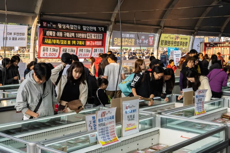 제22회 횡성한우축제 7일 개막, 횡성한우 300마리 직영 가격에 즐긴다