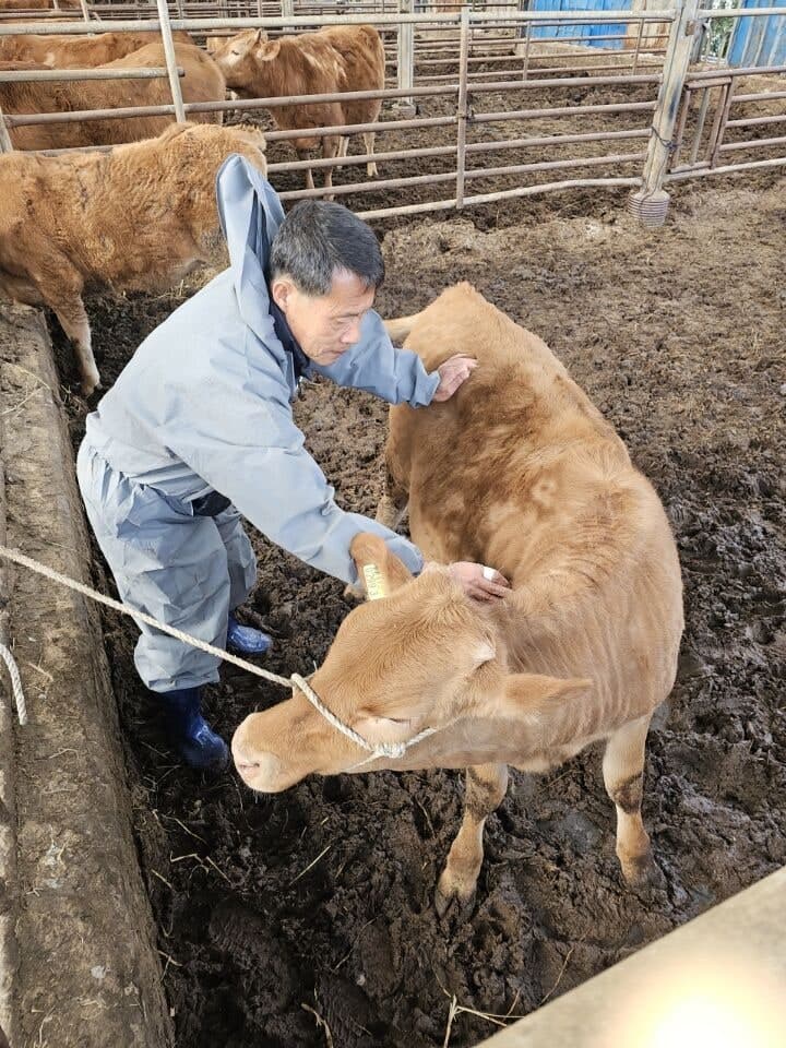 가평군, 겨울철 가축전염병 차단 위해 24시간 특별방역체계 가동