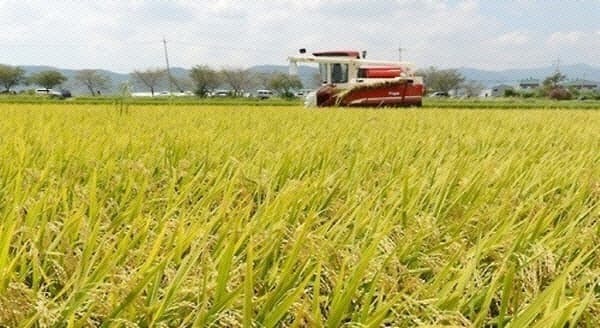 전국 농지 28.2% 외지인 소유…임미애 의원 "농지 제도 개선 시급"