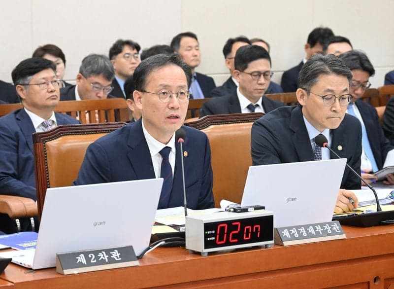개미 울린 레버리지 ETF와 대미 투자, 국감서 "누가 지시했나" 책임 공방