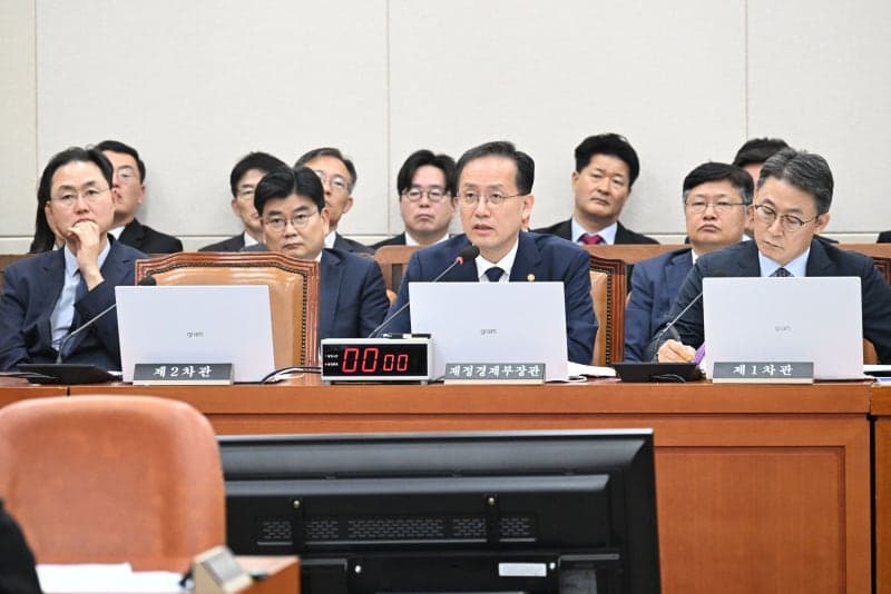 단일종목 레버리지 ETF 손실 논란, 국감서 정치적 개입 공방 격화