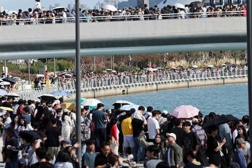 부산 북항 '부캉이' 주둥이 상처 발견…야간 불빛 자극에 고통받나