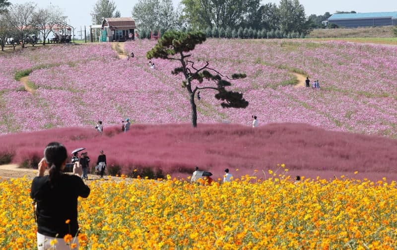한글날 연휴 낮엔 포근하지만 일교차 15도…주말 남부·제주 비