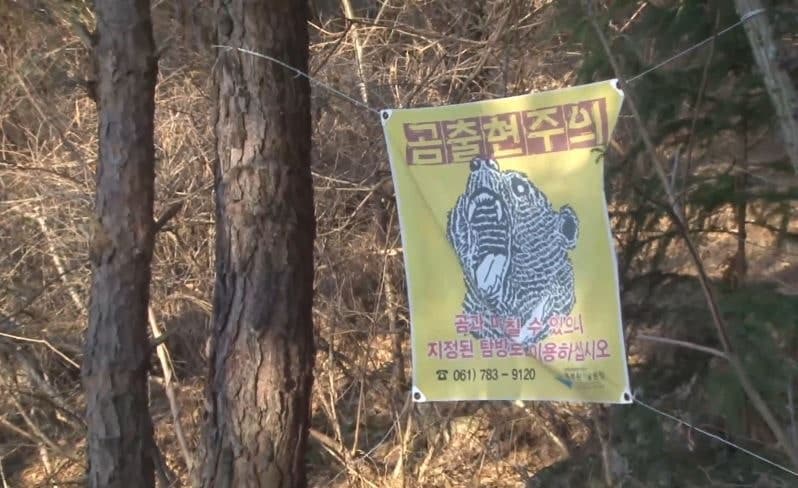 용인 야생 곰 출몰 신고 소동…수색 결과 '오인 신고' 가능성
