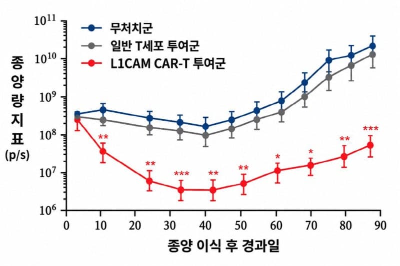 난소암·위암 CAR-T 치료제와 삼중음성유방암 유전자 치료법 개발