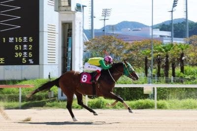 14년 경력 말 관리사에서 기수로, 35세 홍환웅의 성공적인 데뷔전
