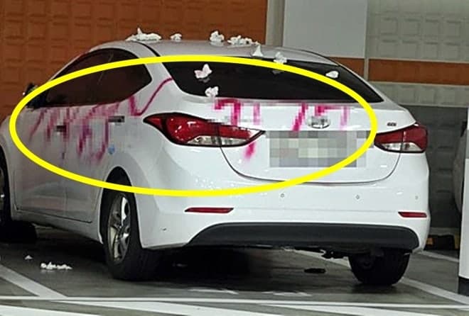 잔소리에 앙심 품고 전 직장동료 차량 손도끼로 파손한 30대 중국인 실형