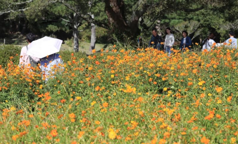 연휴 둘째 날, 전국 내륙 일교차 15도…남부·제주 비 소식
