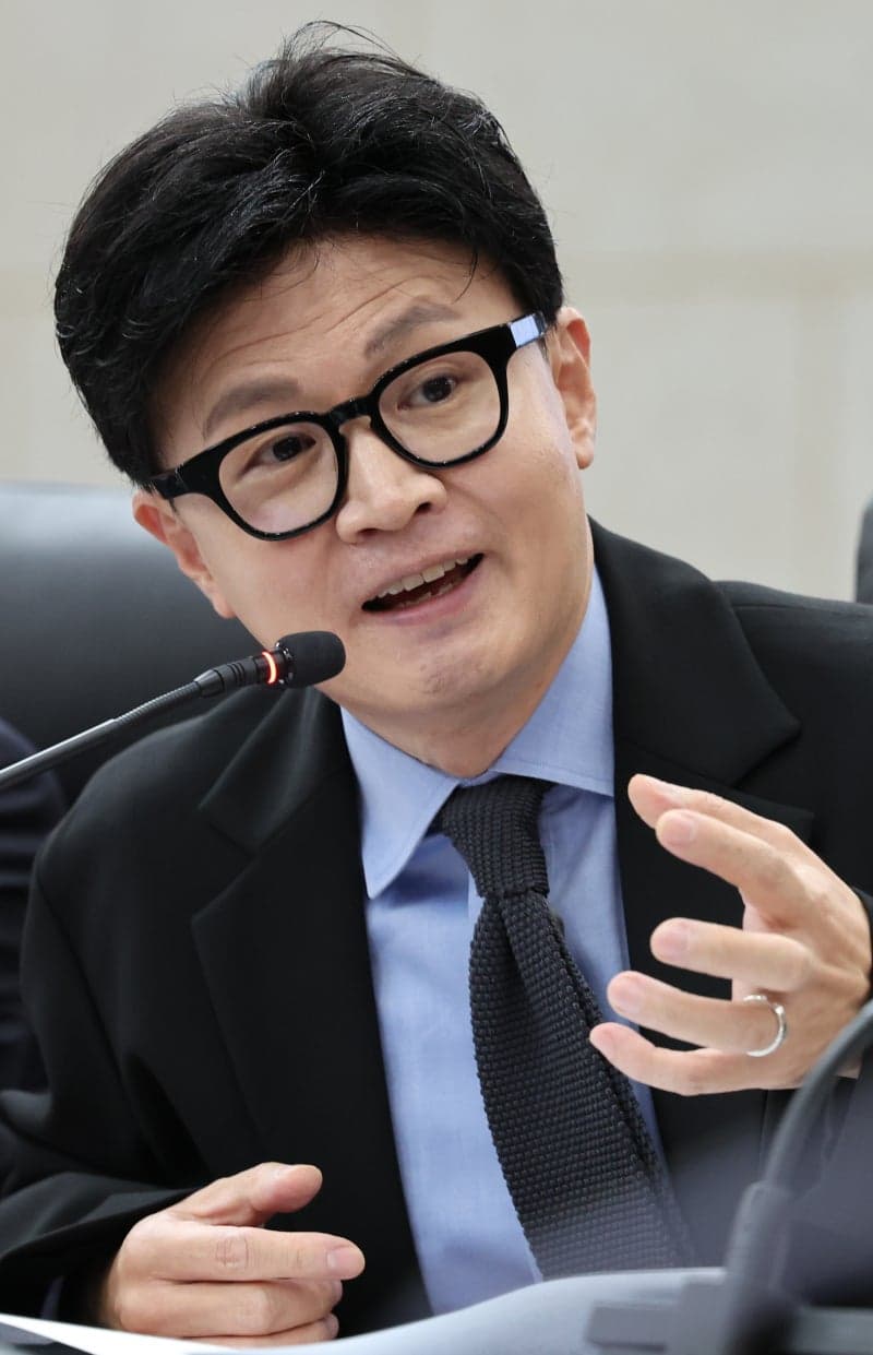 한동훈 "딸 저작권 의혹은 민주당의 망상… 김민석 지시 따라 개떼처럼 달려들어"