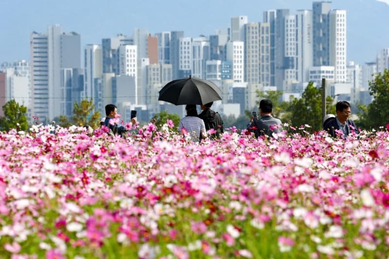 한글날 연휴 낮 최고 28도 '늦더위'…내륙 일교차 15도 안팎