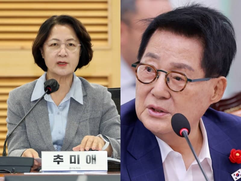 박지원 "추미애, 성급한 파묘는 내란세력 부활 초래…당내 갈등 자제해야"
