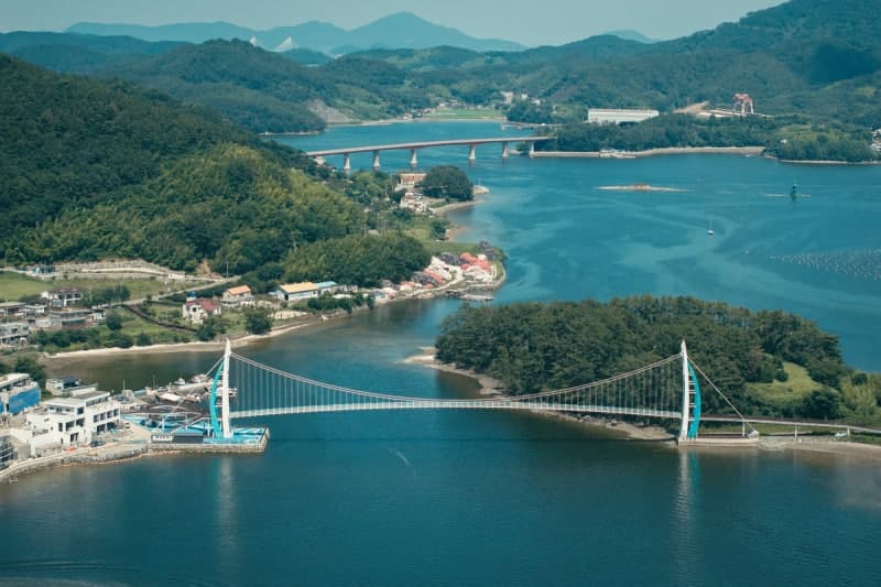국내 검사 통과한 수출 굴, 미국서 6번 폐기…위생 예산은 '0원'