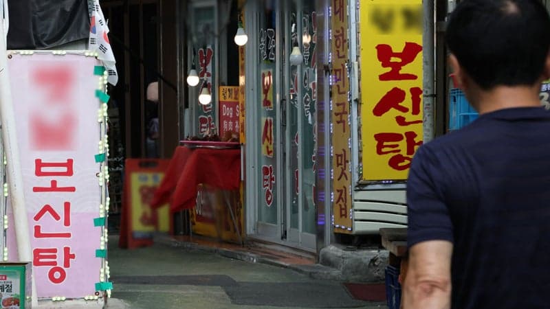 개 식용 종식 앞두고 사육농장 87% 폐업…사육견 46만 마리에서 7천 마리로 급감