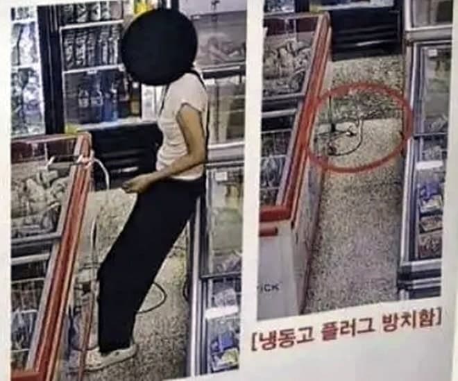 무인 아이스크림 매장서 휴대폰 충전하려 냉동고 전원 뽑아…업주 '분통'