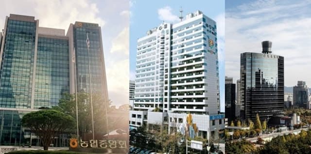 상호금융권 부실 '빨간불'…연체율 10% 넘는 조합·금고 반년 새 66% 급증