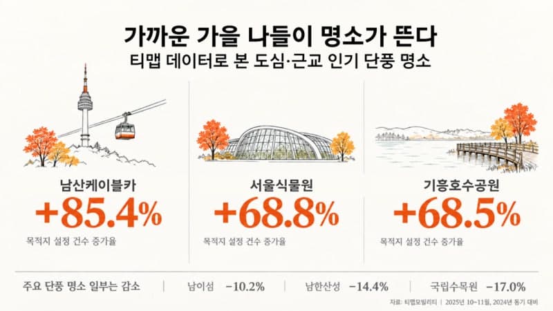 멀리 안 가고 단풍 즐긴다…도심·근교 명소 찾는 발길 급증