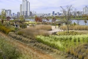 울산 태화강 그라스정원, 산림청 생활정원 공모전 대상 수상