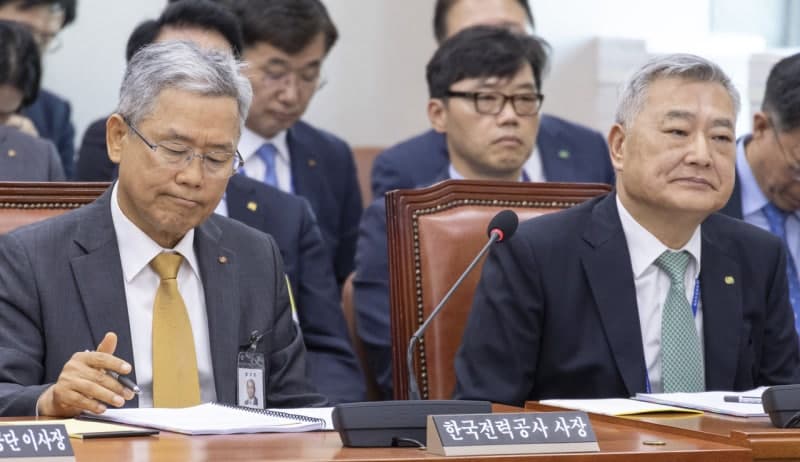 김동철 한전 사장 "웨스팅하우스 기술료 20억 달러는 확정 아닌 상한선"