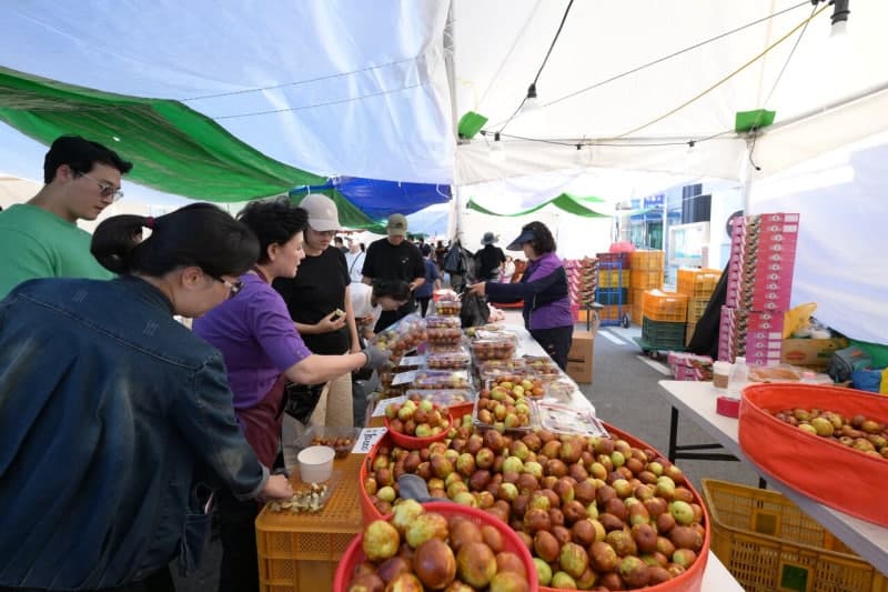 4만 명 사로잡은 제25회 연산대추문화축제, 가족형 문화축제로 자리매김