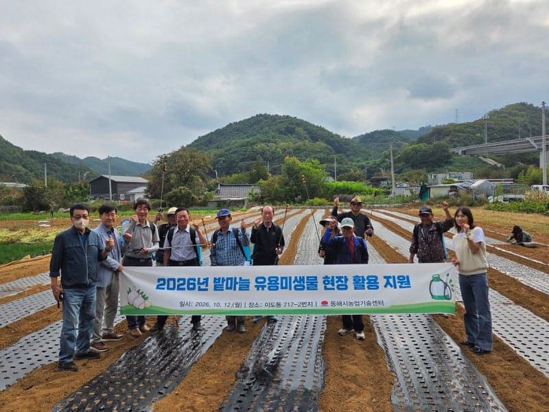 동해시, 밭마늘 농가 10곳에 유용미생물 맞춤형 지원 나서