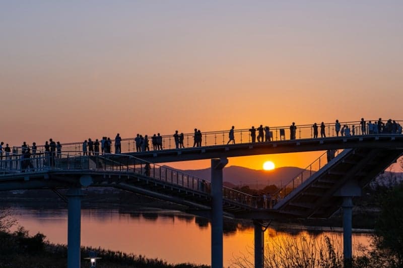 은빛 물결 넘실대는 가을의 낭만… 제11회 광주서창억새축제 15일 개막