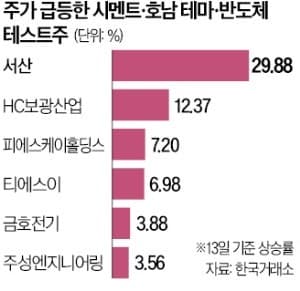 "철회 없다" 최태원 승부수에 호남 반도체 테마주 '나홀로 급등'