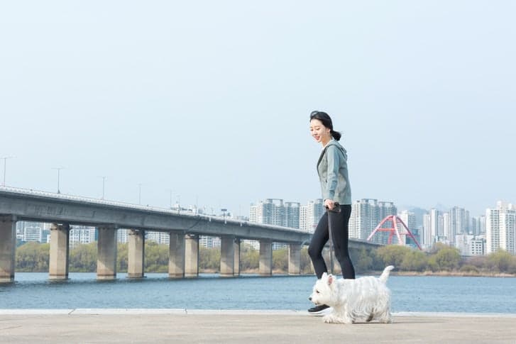 가을 반려동물 축제 잇따라…안전한 나들이 위한 펫티켓 필수