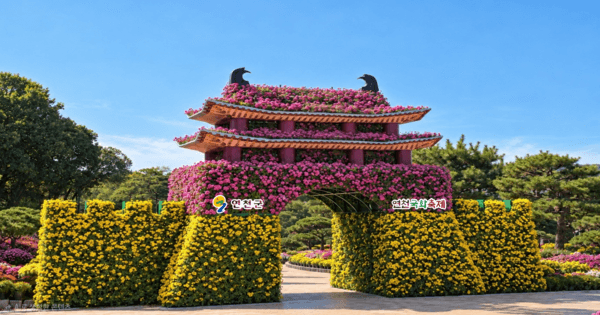 가을 정취 가득한 연천 전곡리유적, 제8회 연천국화축제 16일 개막
