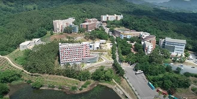대경대, 전문대학 특성화 선도대학 선정…AI·디지털 기반 문화콘텐츠 대학 도약