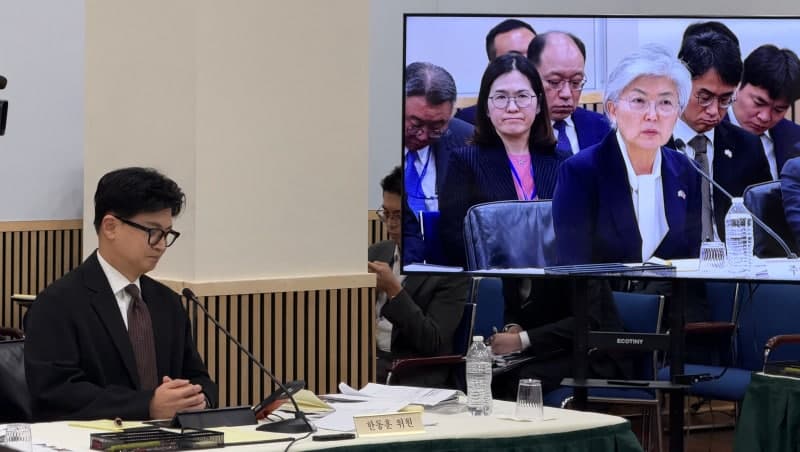 강경화 주미대사 "DMZ 지뢰 폭발, 불의의 사고는 분명히 아니다"