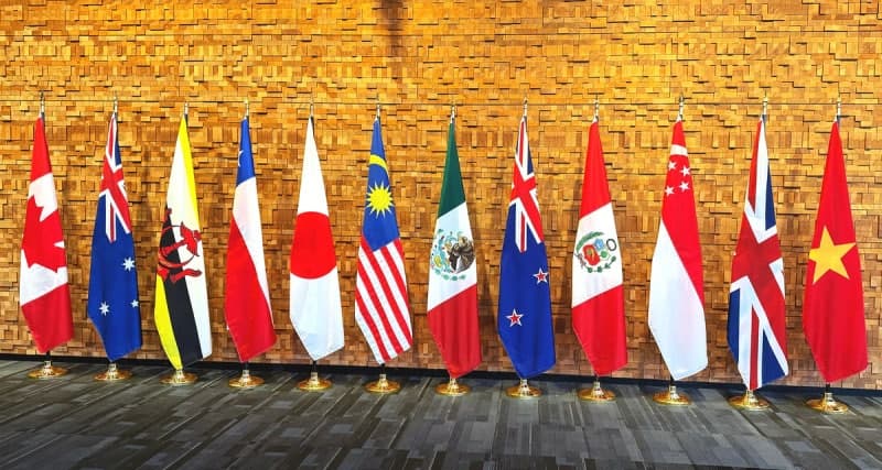 CPTPP 비가입 한국, 수출품 절반 가까이 경쟁력 하락…조선·자동차 '비상'