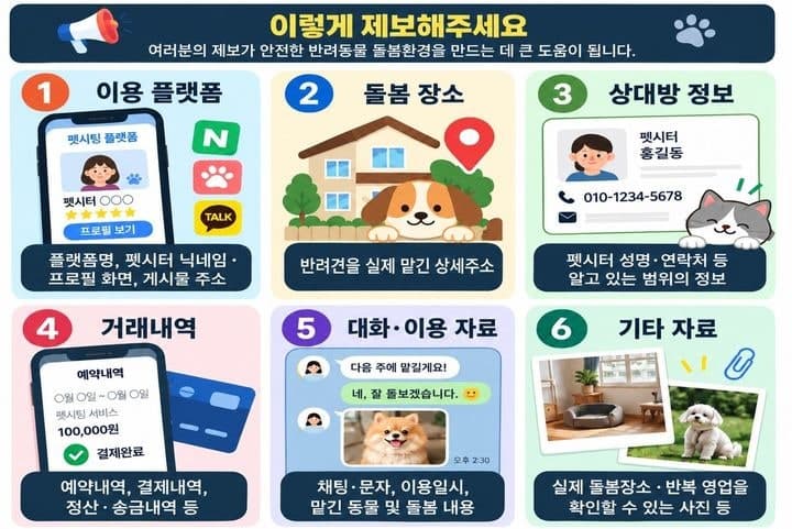 서울시, 가정집 '무등록 펫시팅' 단속 강화…위반 시 형사처벌