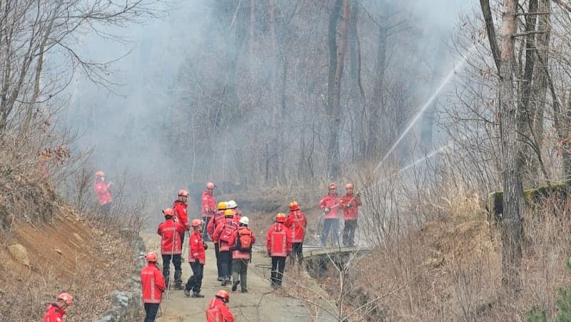 청주시, 가을철 산불 대응 체계 보름 앞당겨 특별대책 가동