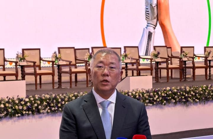 정의선 회장, 인도 진출 30주년 맞아 "자동차 넘어 에너지·인프라까지 투자 확대"