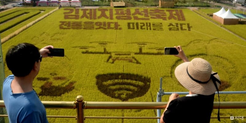 김제 지평선축제 식중독 의심 환자 861명…피해 지원센터 운영 및 보상 절차 돌입