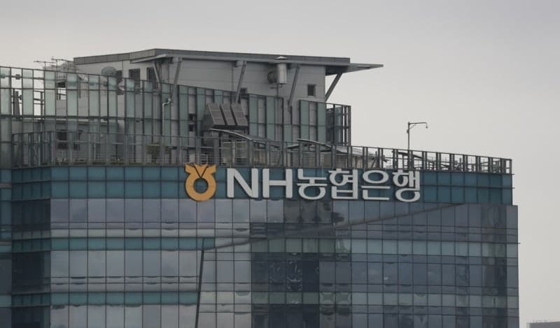 배당 못한 농축협 5년 새 13배 급증…적자 조합 84%는 '성과급 잔치'