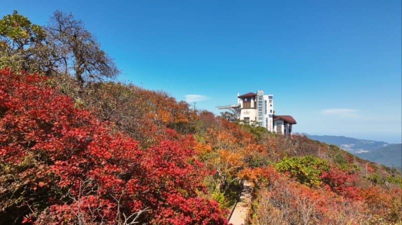 인구감소지역 여행 떠나면 최대 3만원 할인…한국관광공사 '지역관광 부스터' 가동
