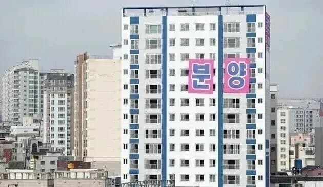 PF 구조개혁 헛바퀴…공적보증 70%가 자기자본 5% 이하 사업장에 집중