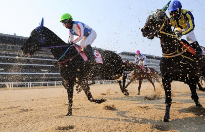 온라인 마권 매출 1.5조 돌파…청년층 회원 2년 새 2.7배 급증