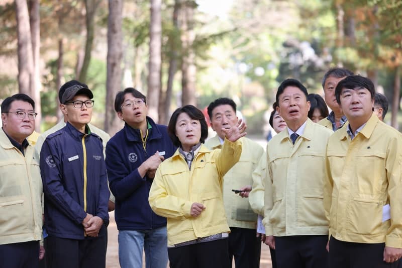 소나무재선충병 피해 급증한 가평군, 29일부터 특별방제구역 지정