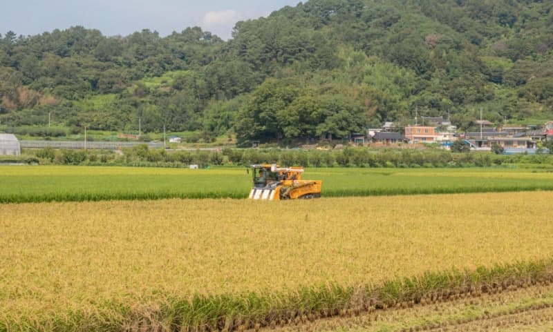 진보당 "전남광주 농어촌기본소득, 지역·금액 차별 없이 전면 확대해야"