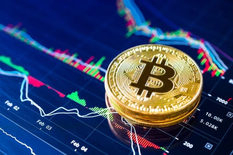 3400억대 스캠코인 사기 혐의 '존버킴' 1심 무죄 판결