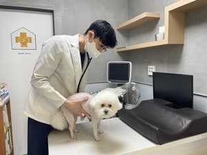 구로구·영등포구, 10월 16일부터 반려동물 광견병 예방접종 실시