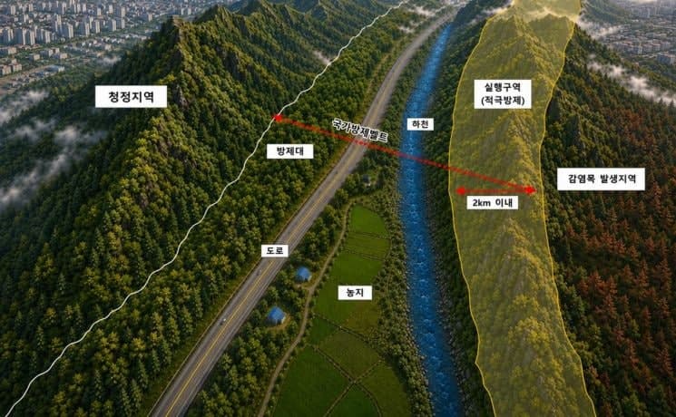 산림청, 소나무재선충병 확산 막는 800km '국가방제벨트' 조성