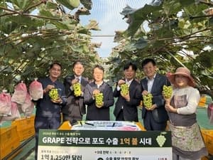 신선농산물 최초 '포도 수출 1억 달러' 달성 위해 민관 총력전