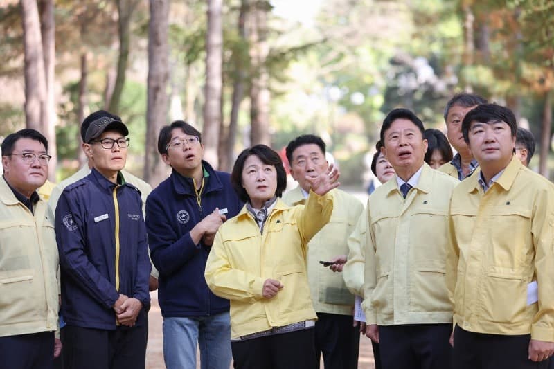 가평군 전역, 29일부터 '소나무재선충병 특별방제구역' 지정